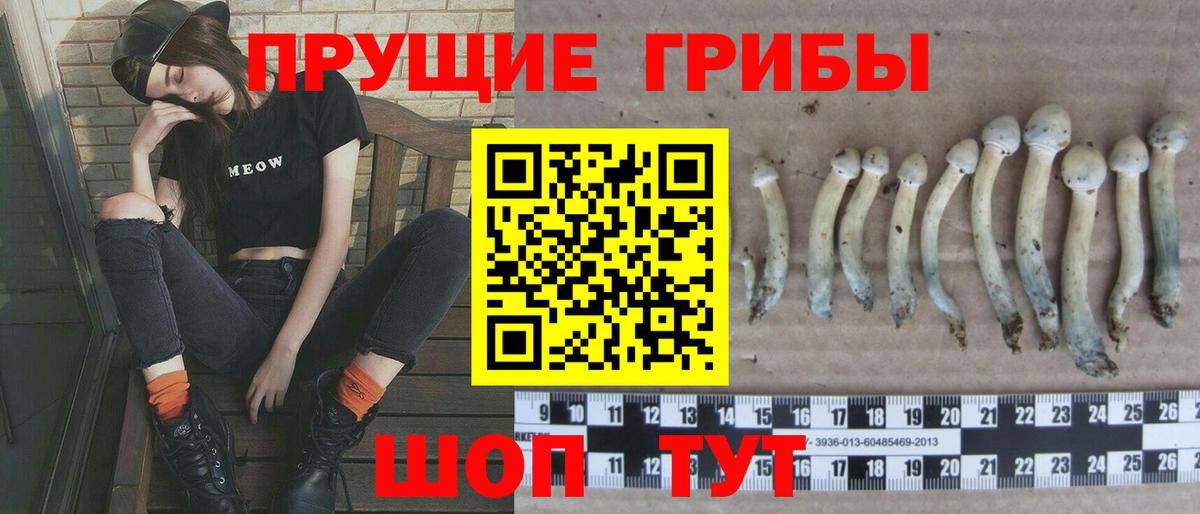 Псилоцибиновые грибы ЛСД Рязань