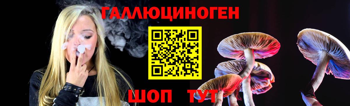 Галлюциногенные грибы Cubensis  Галлюциногенные грибы прущие грибы  Рязань  Вход с VPN 